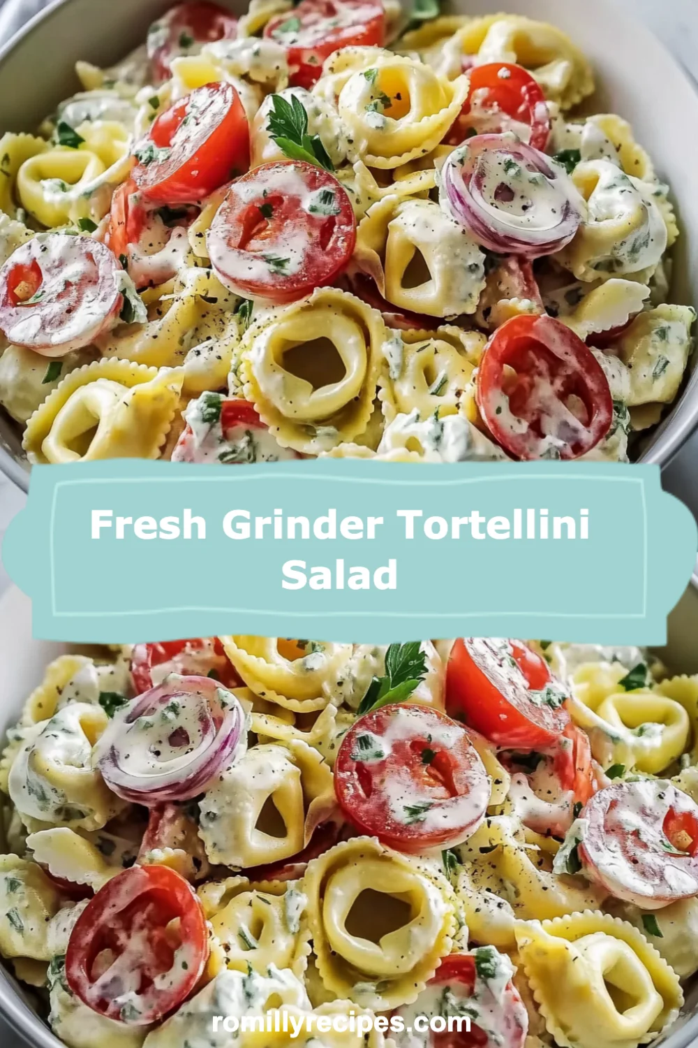 Fresh Grinder Tortellini Salad: A Colorful and Flavorful Delight for Any Occasion!