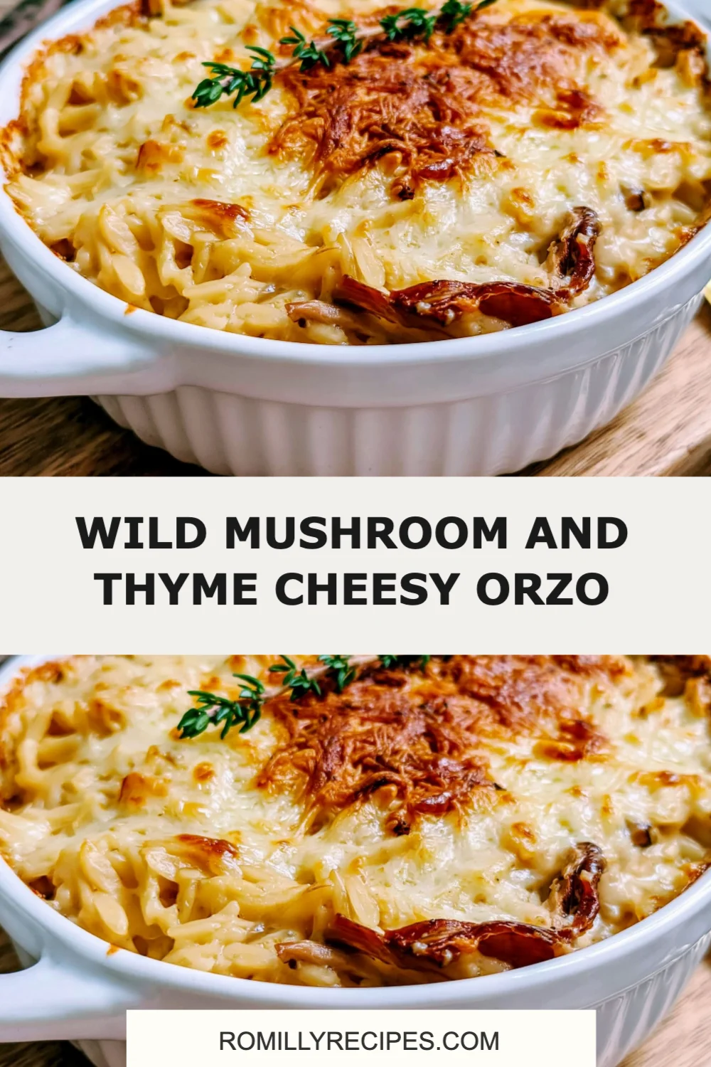 Indulge in Wild Mushroom and Thyme Cheesy Orzo: A Creamy, Flavorful Delight!