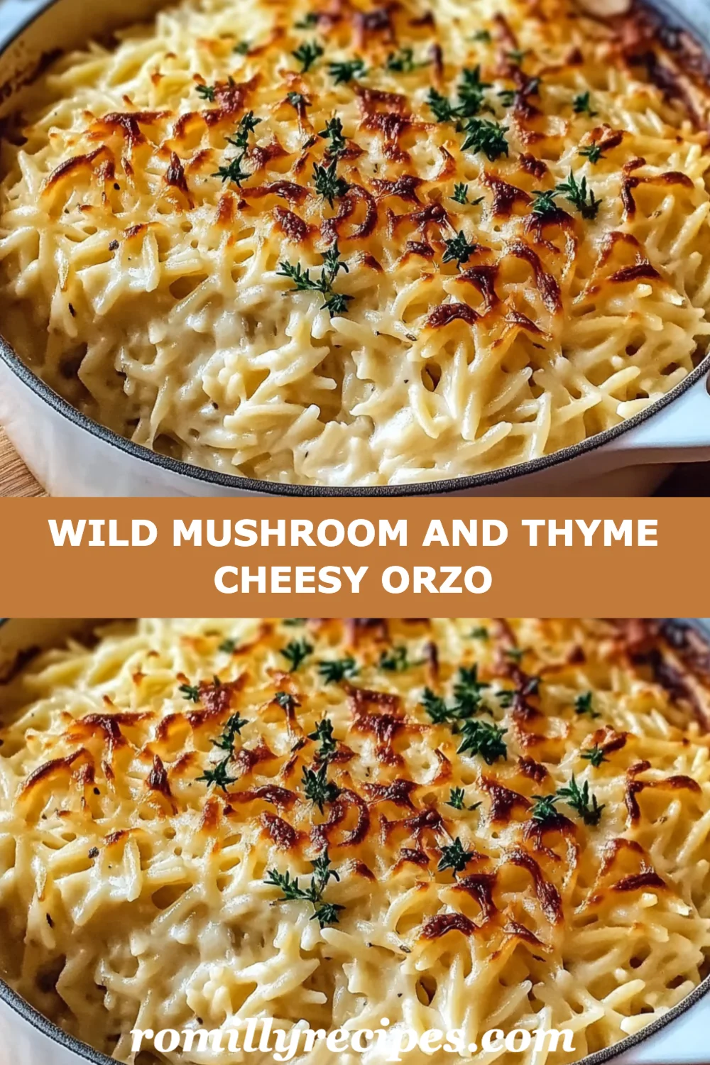 Delicious Wild Mushroom and Thyme Cheesy Orzo Recipe for Ultimate Comfort Food Nights!